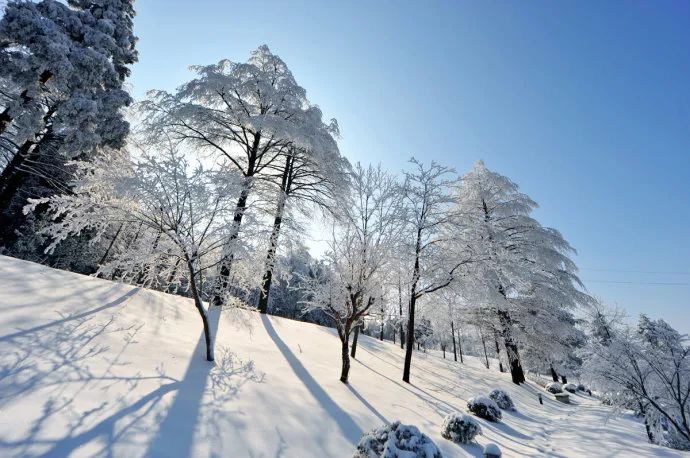 山如碧浪翻江去译文,山如碧浪翻江去下一句