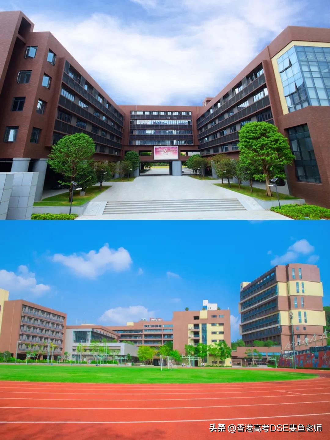 鲸帆dse国际,鲸帆dse国际学校创作人