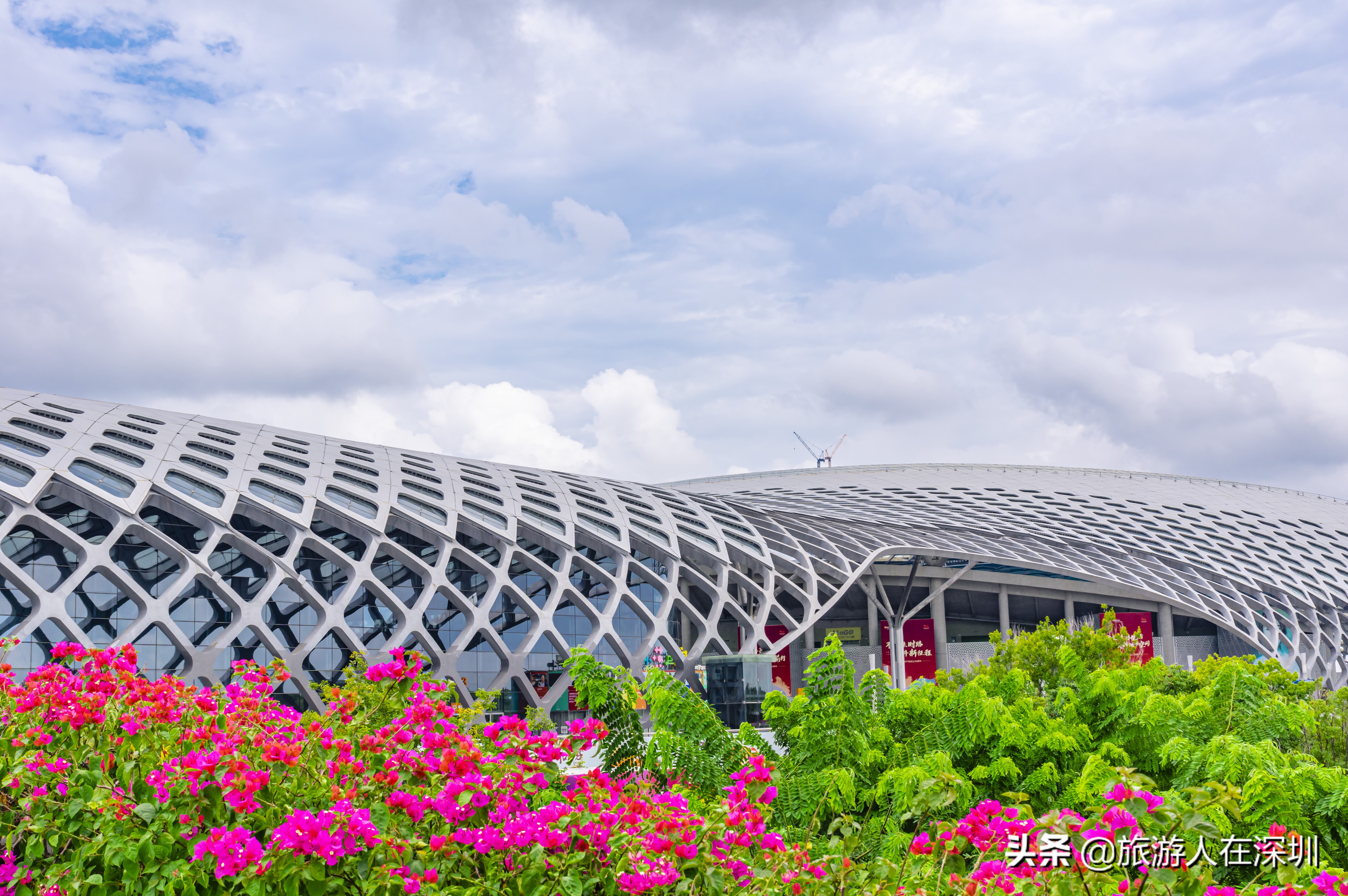 鸟巢体育场建筑特点,深圳湾体育中心像什么