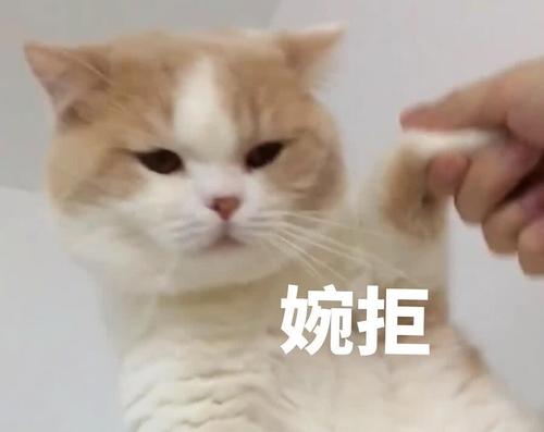 爱戴美瞳的姑娘,爱戴美瞳的人眼睛