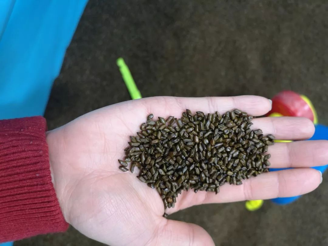 重庆主城遛娃商场,成都城南遛娃免费