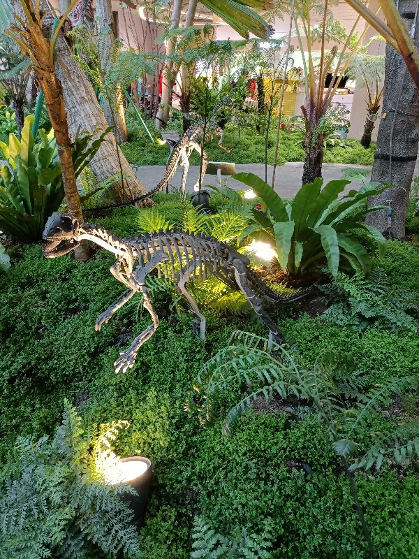 光环购物公园与新加坡樟宜机场,重庆观光购物公园