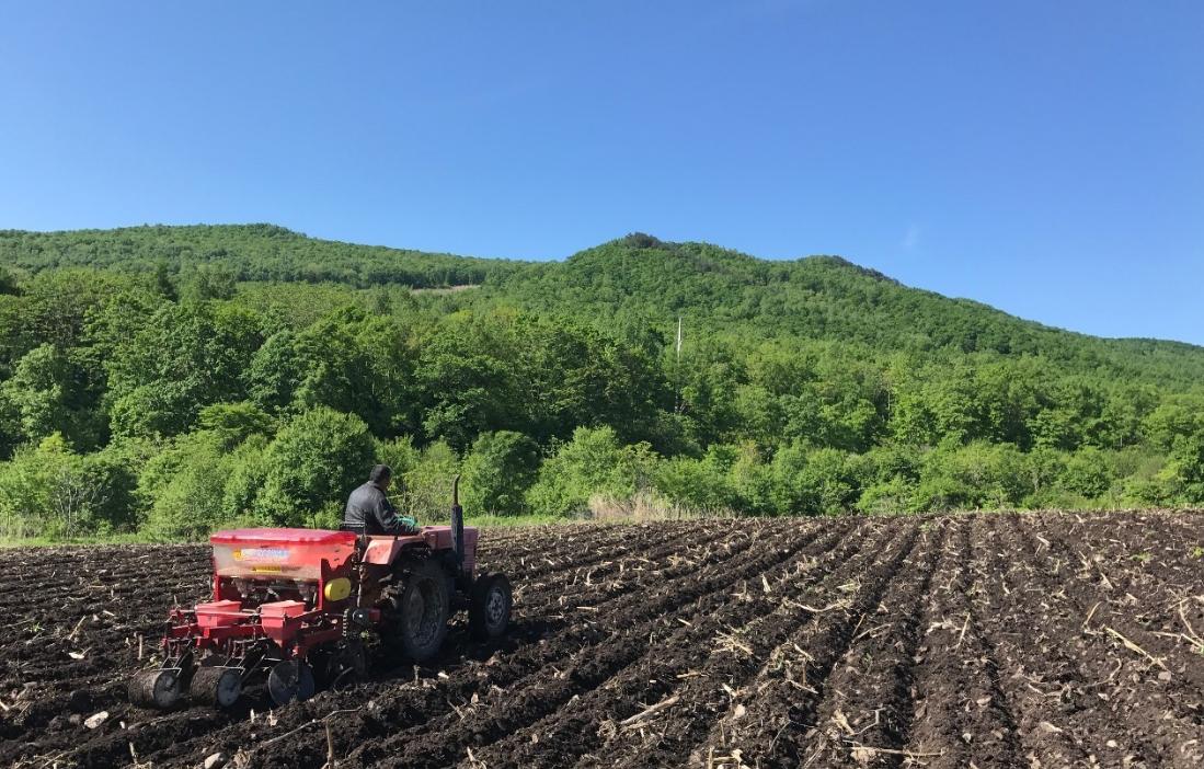 哪款电饭煲煮出来的米饭最好吃,日本哪种电饭煲煮的饭很香