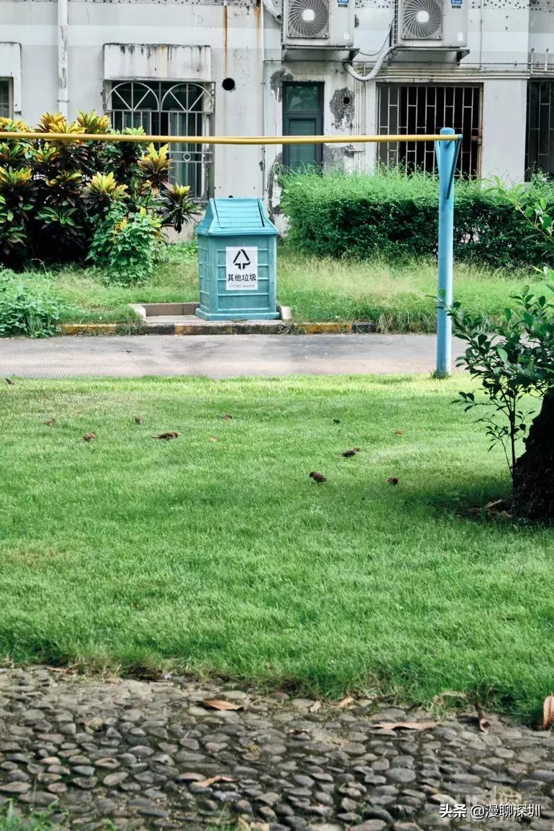 深圳益田村地址,行走深圳系列罗湖