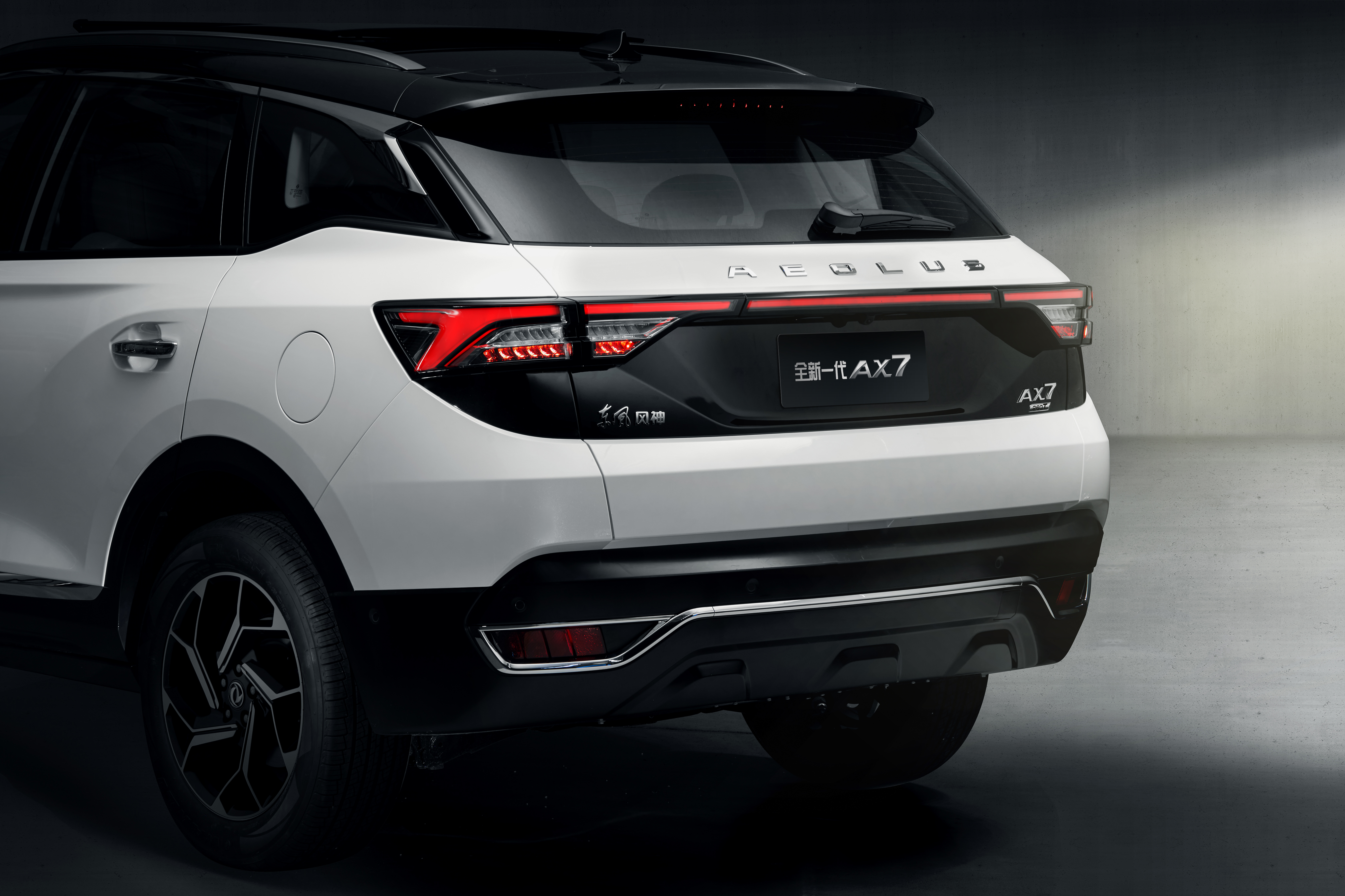 年轻人的运动轿跑风神奕炫,一身名牌的汽车