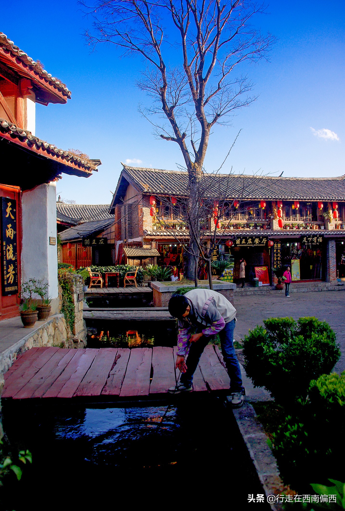 丽江十年变化总结,十年丽江