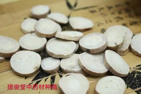 白芍种植技术及亩收益,中药材白芍种植基地