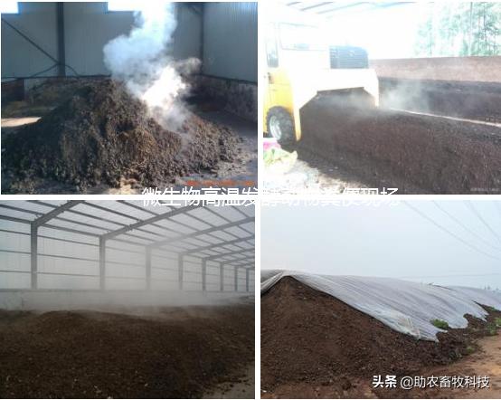 微生物技术能够解养兔场病多、臭味、粪污的诸多问题