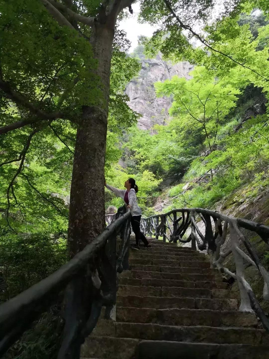 悬崖滑梯风景区,悬崖峭壁雪滑梯
