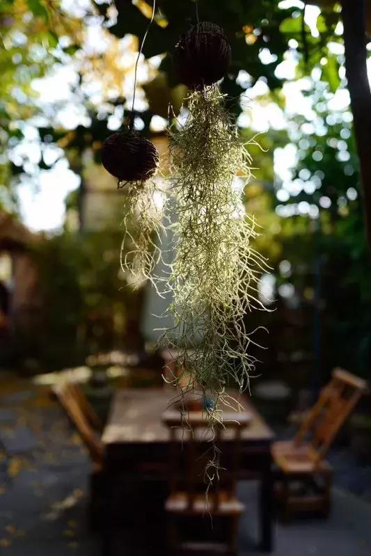 中国历史最高水平40首古诗,千古绝唱十首最经典情感古诗词