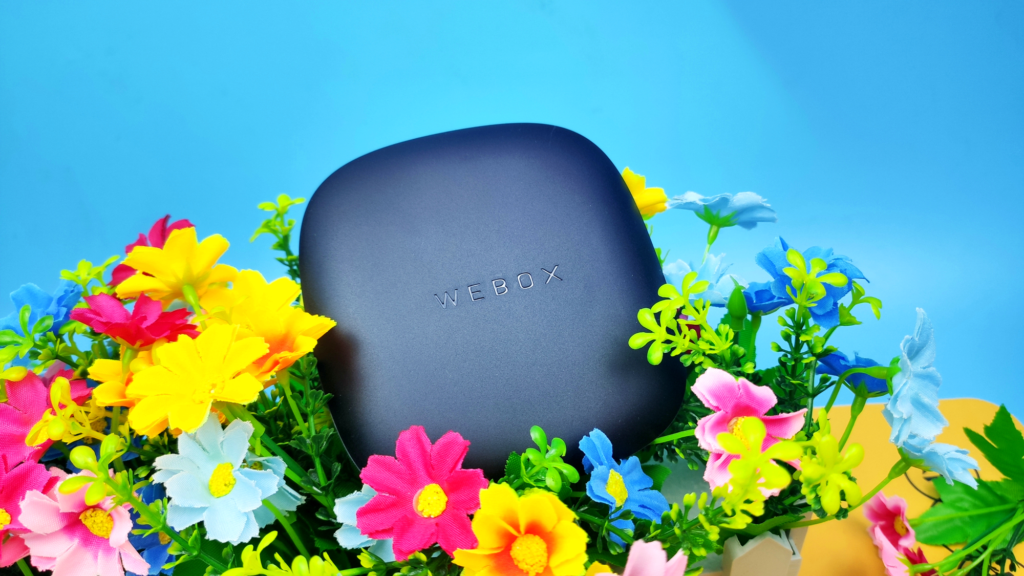 拒绝广告，视频盒子中的佼佼者，让你感受不一样观影体验