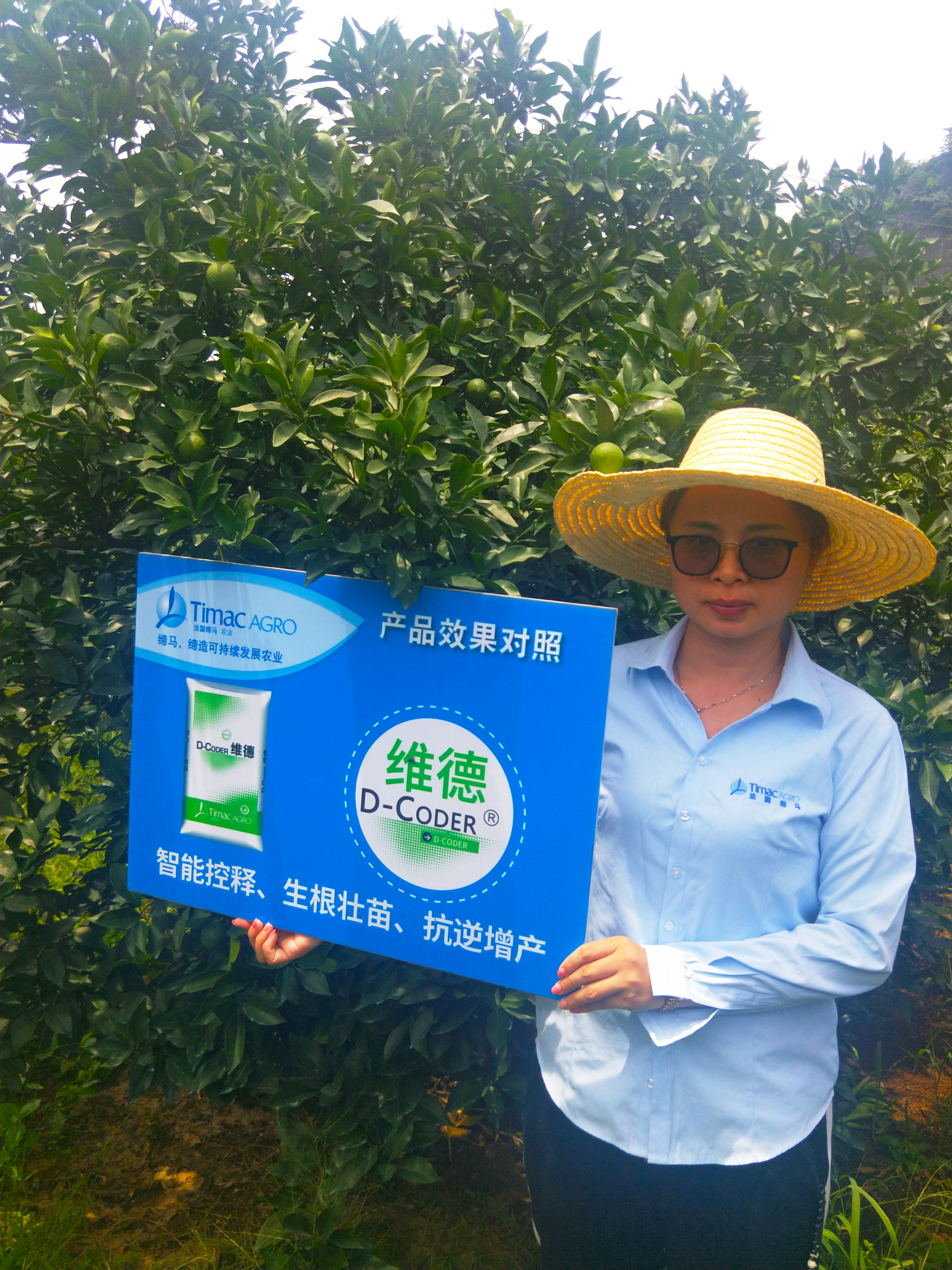 缁村痉缂旈┈鑲ユ枡閰嶆瘮,缁村痉鑲ユ枡鑲ユ晥