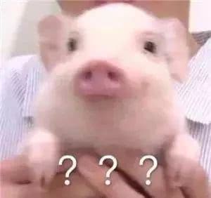 沈梦辰假货事件后续,沈梦辰和吴昕二手店