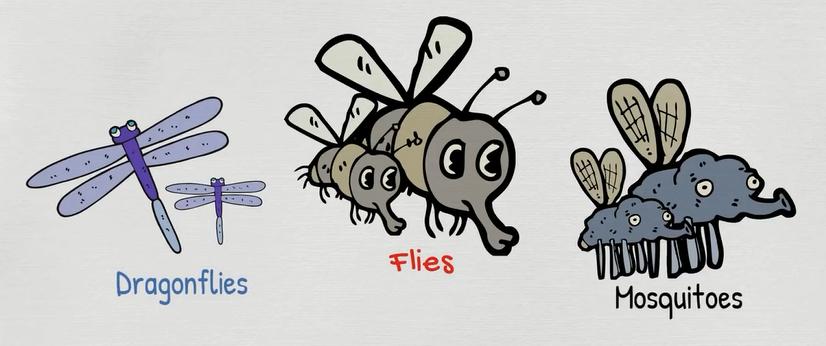 动物英语名称视频大全,兔小贝英语宝典动物名称