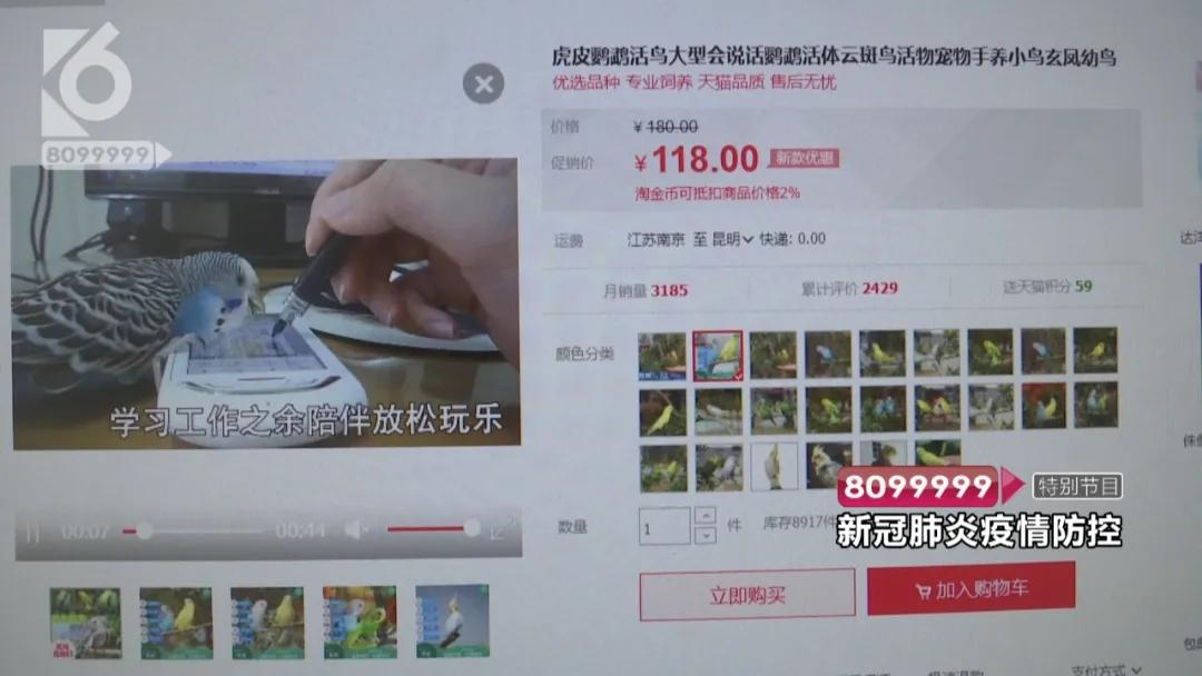 花鸟市场哪些不能买,花鸟市场现在还有吗