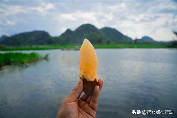 他山之石丨“拼”出新产业，小果子带来脱贫大希望，背后的故事都有啥