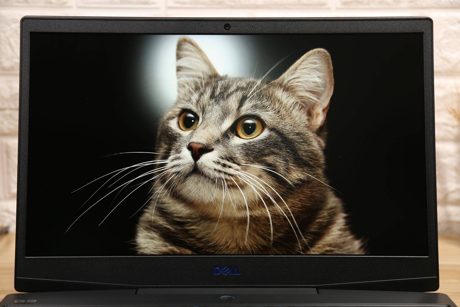 戴尔g33590外星人怎么使用,戴尔电脑做工