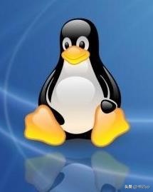 微软的系统和win10的哪个好,国产系统和windows系统区别