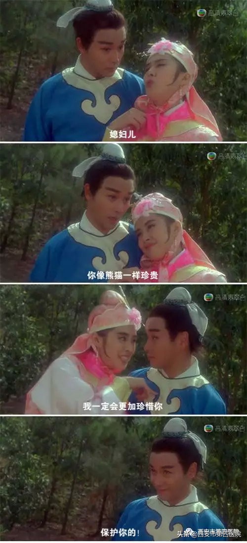 专家科普熊猫,熊猫家族科普