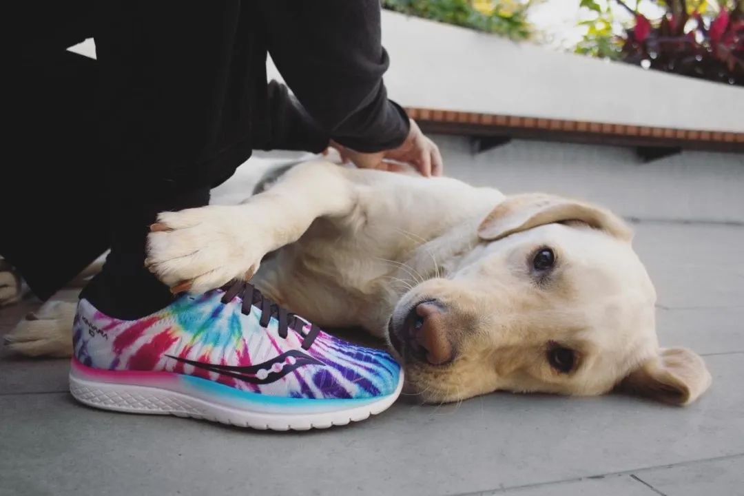 穿什么鞋跑步不磨脚,稳定性好又轻的跑鞋