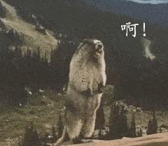 你这个坏怂，尽显渣之本色