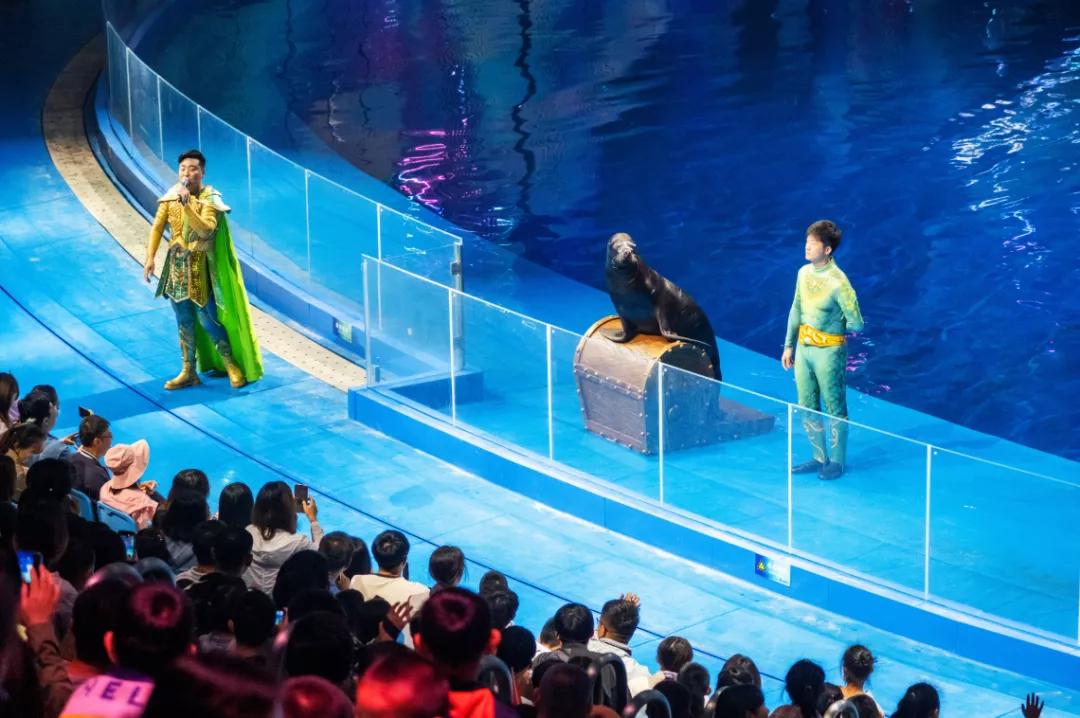 这个季节适合去济南哪旅游,济南十一假期游玩攻略