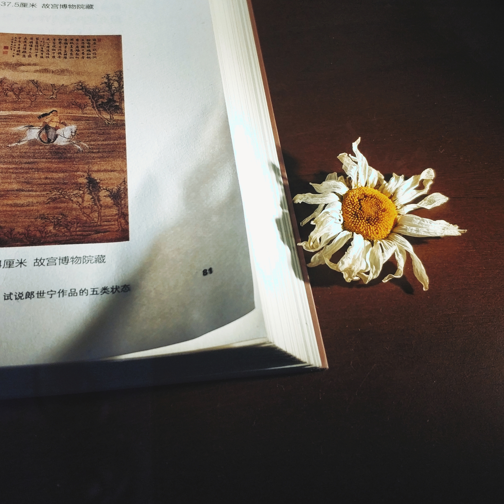 川藏线骑行从成都还是拉萨开始,318川藏线成都到拉萨骑行赛