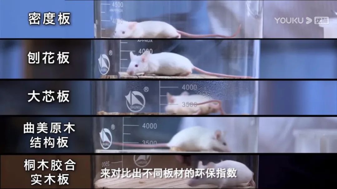 谁才是真正的环保板材,环保板材实测