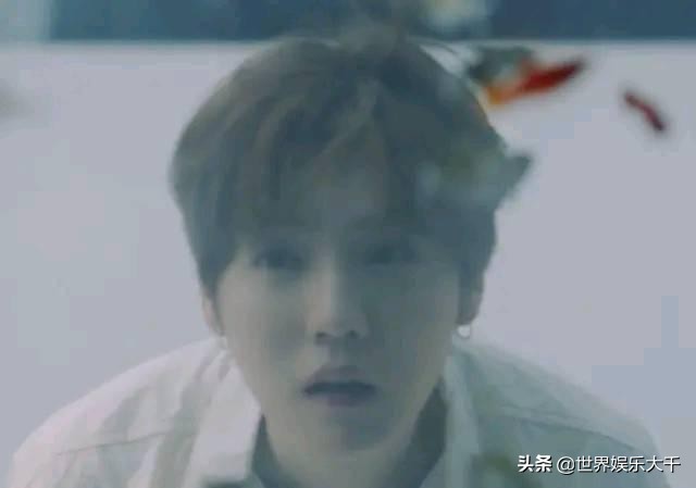 时光音乐会邓紫棋谈鹿晗出演mv,邓紫棋和鹿晗一起参加的综艺节目