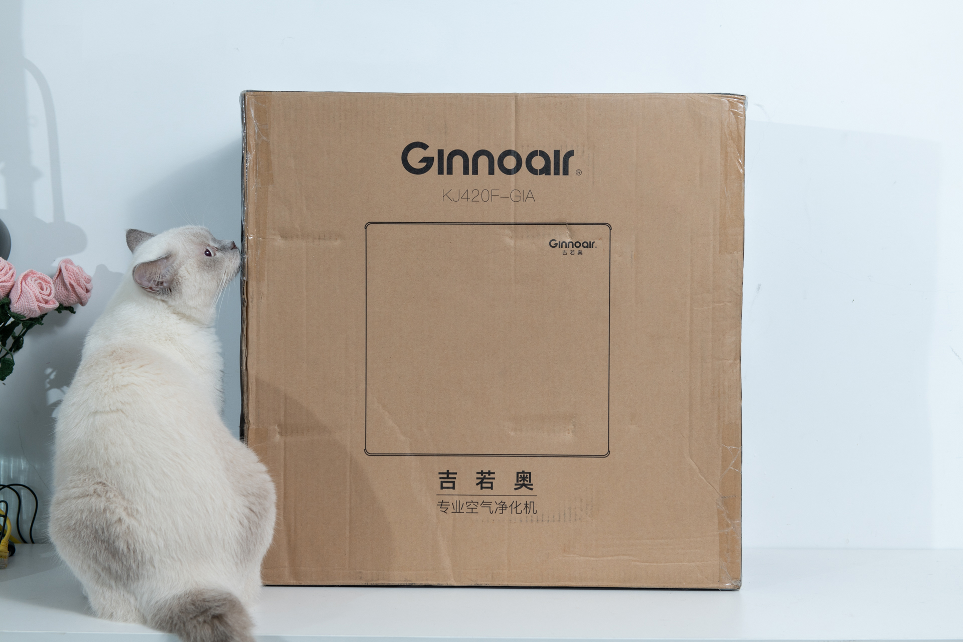 吉若奥mini空气净化器,吉若奥空气净化器测评