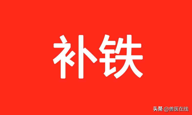 仔猪补铁应该注意什么,仔猪补铁过多怎么办