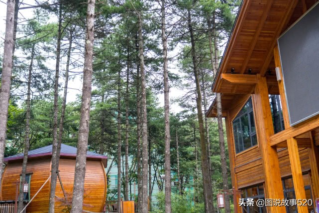 河南隐藏在山里的酒店,河南大山里的酒店