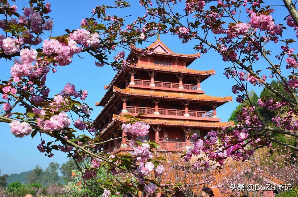 去四川南充都有哪些好耍的,南充市区最好的景点排名前十