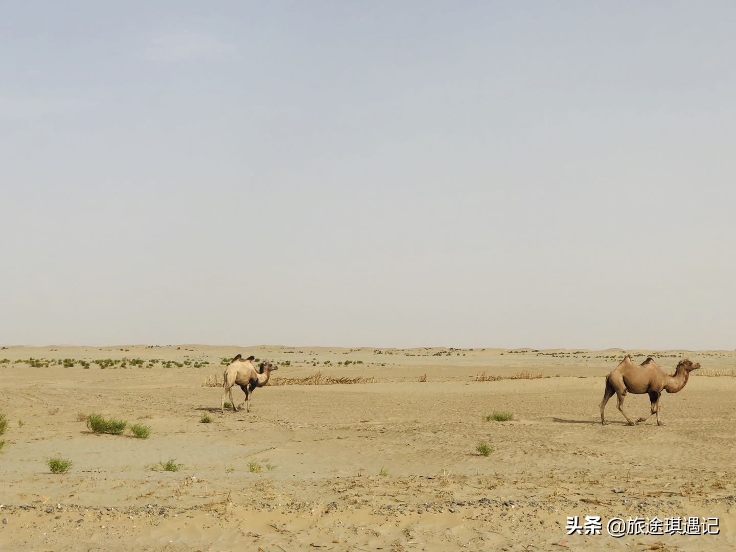 从阿拉尔到塔克拉玛干,从库尔勒去和田的最佳沙漠公路