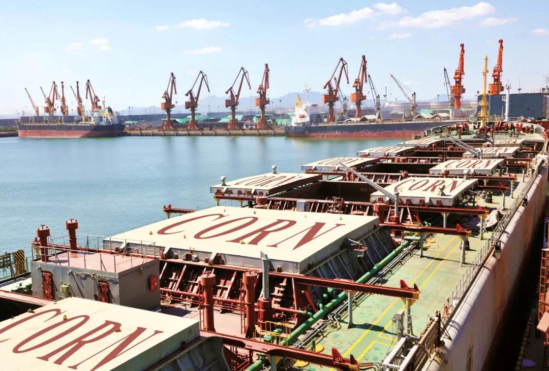 东方集团业绩大全,东方集团公司的2019年度报告