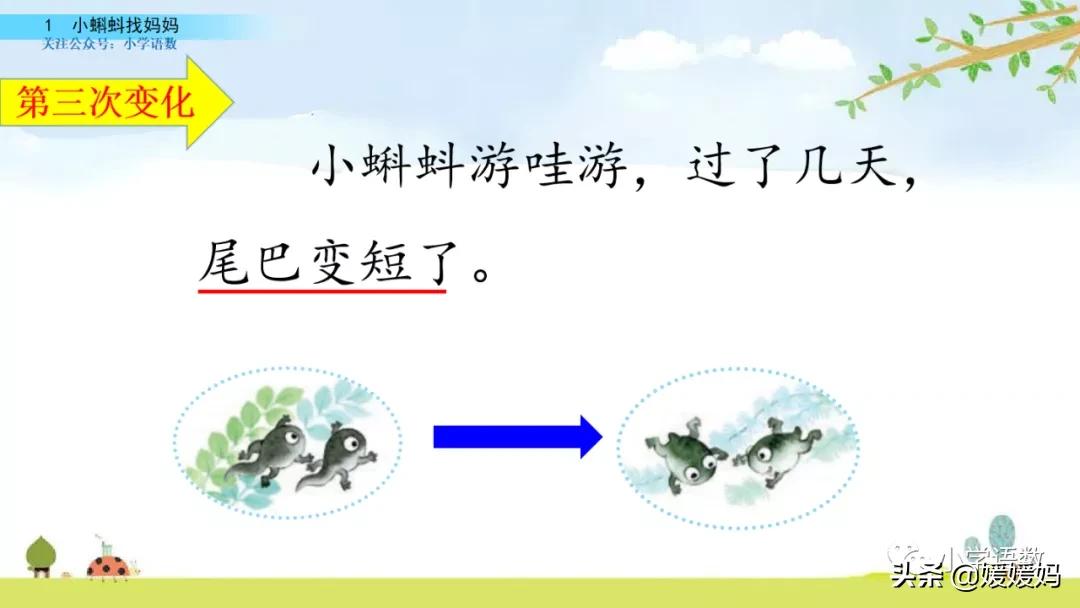 二年级上册小蝌蚪找妈妈听写词语,朗读二年级上册语文小蝌蚪找妈妈