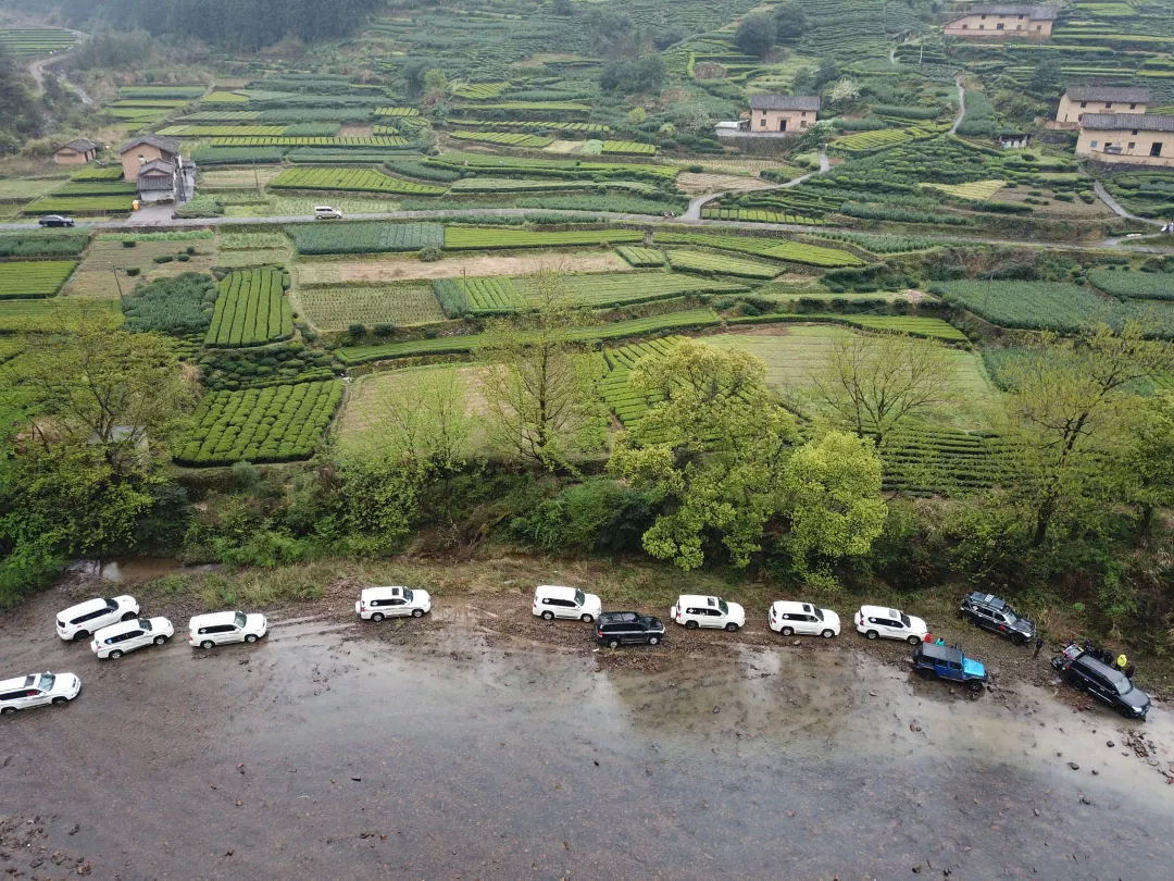 鐖卞績鍔╁鍦嗘ⅵ琛屽姩,鍏泭鐖卞績鍔╁娲诲姩