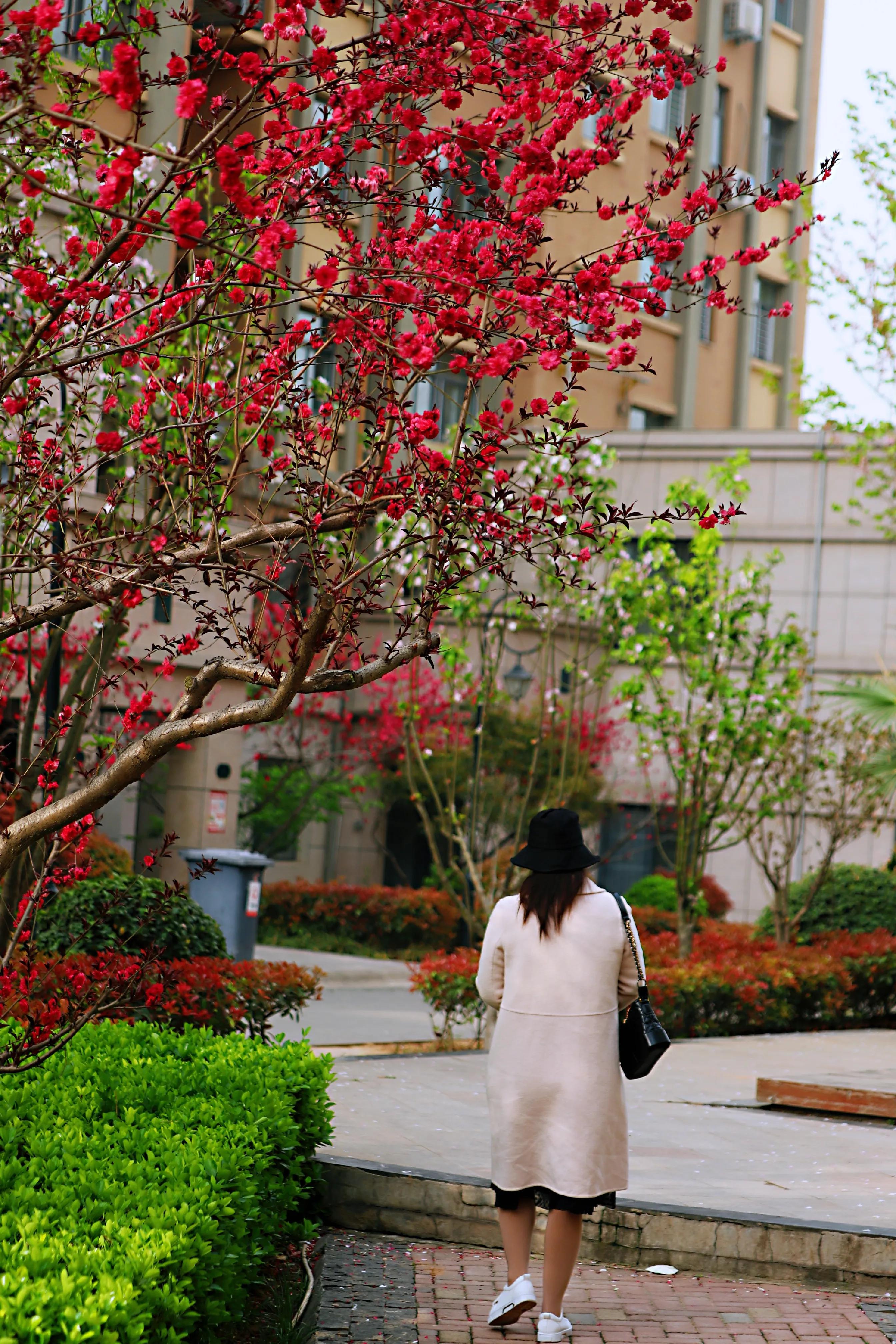 骏景花园116平米,骏景花园小区效果图