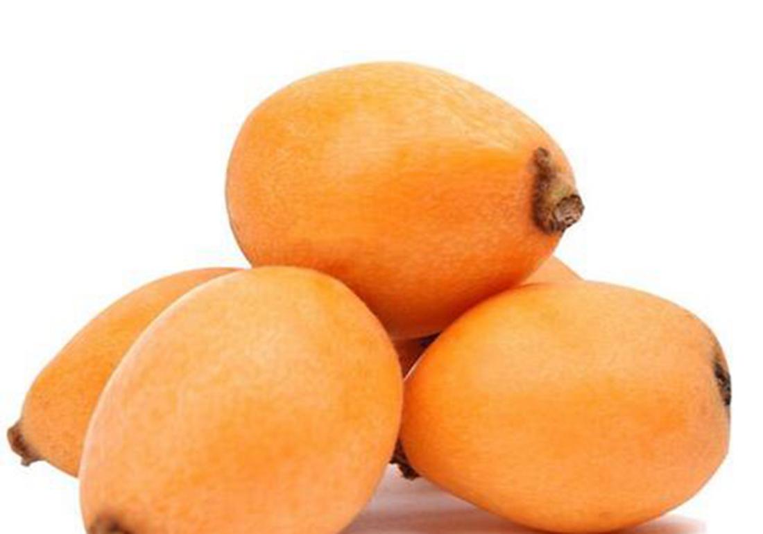 种植枇杷果的小技巧,枇杷有哪些病虫害防治