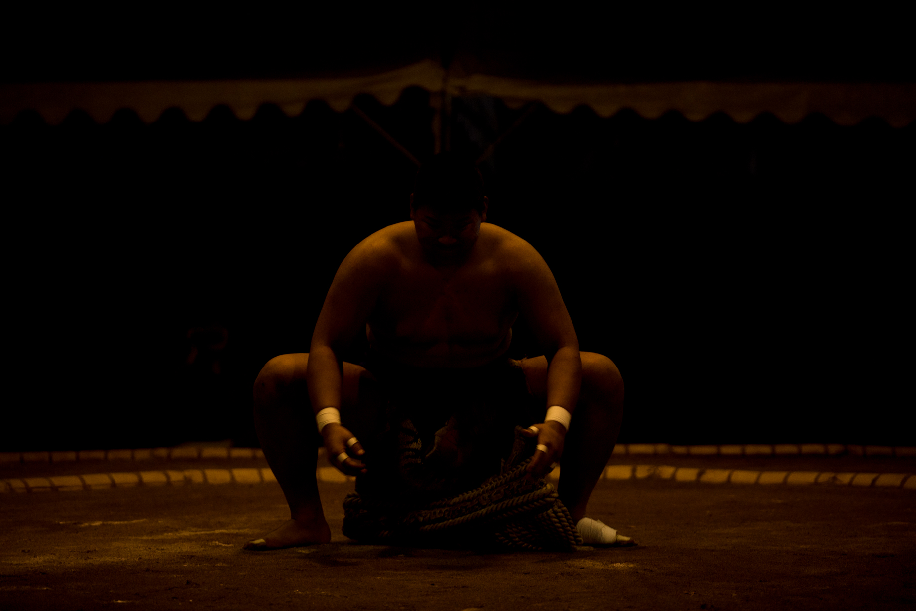 价格便宜的媲美大三元的镜头,大三元镜头谁值得购买