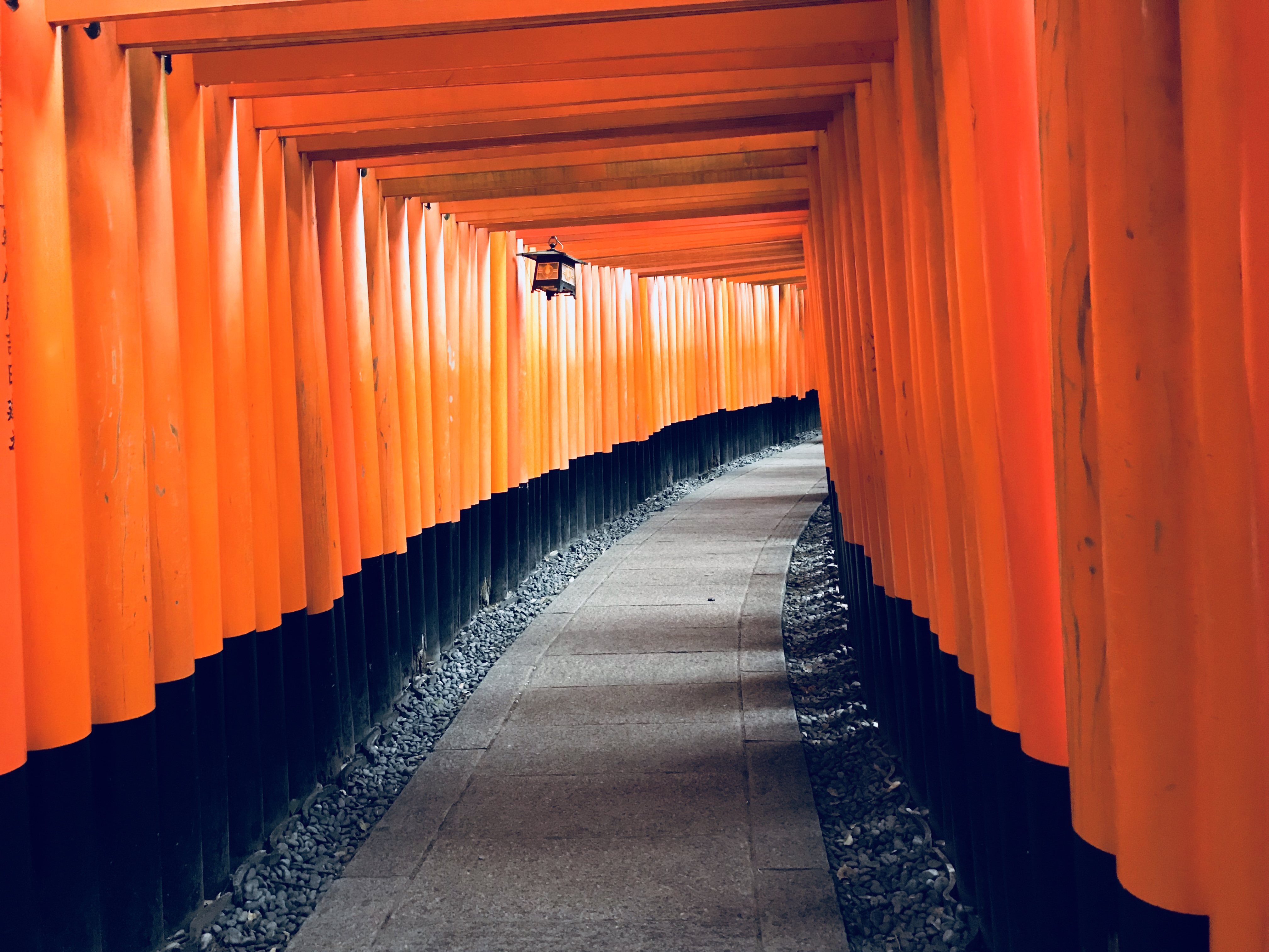 日本九州自驾游最佳路线,第一次去日本应该怎么玩