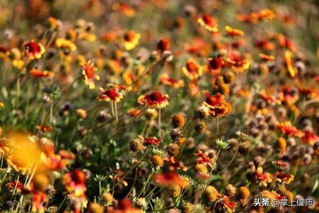 洛阳市万安山山顶,人间仙境万安山