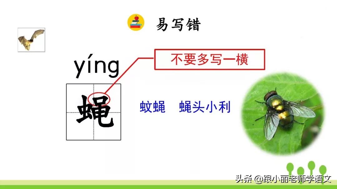 语文思维导图四年级上蝙蝠和雷达,人教版四年级上册蝙蝠和雷达朗读