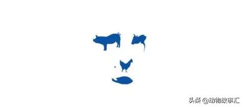 世界穿山甲日/专家建议对穿山甲等“生态灭杀”，我们坚决拒绝