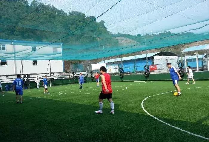 福田花卉世界最新规划,福田花卉世界新址