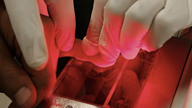 近期加拿大签证新政策,最新加拿大签证申请时间