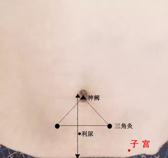 艾和不艾,决定了女人两种不同的人生!如果爱请深“艾”