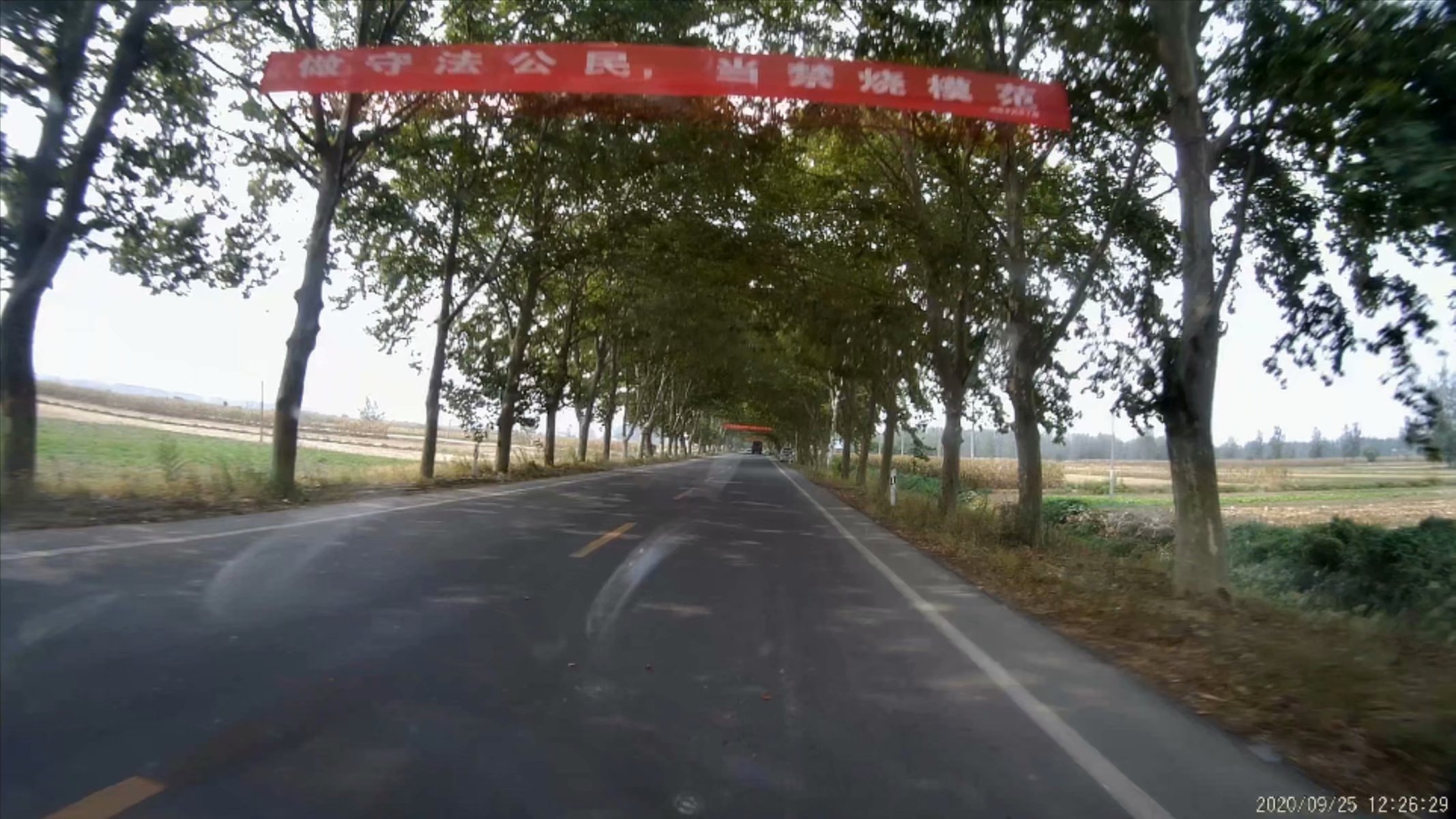 俞伯牙墓为什么在固镇,俞伯牙墓出土