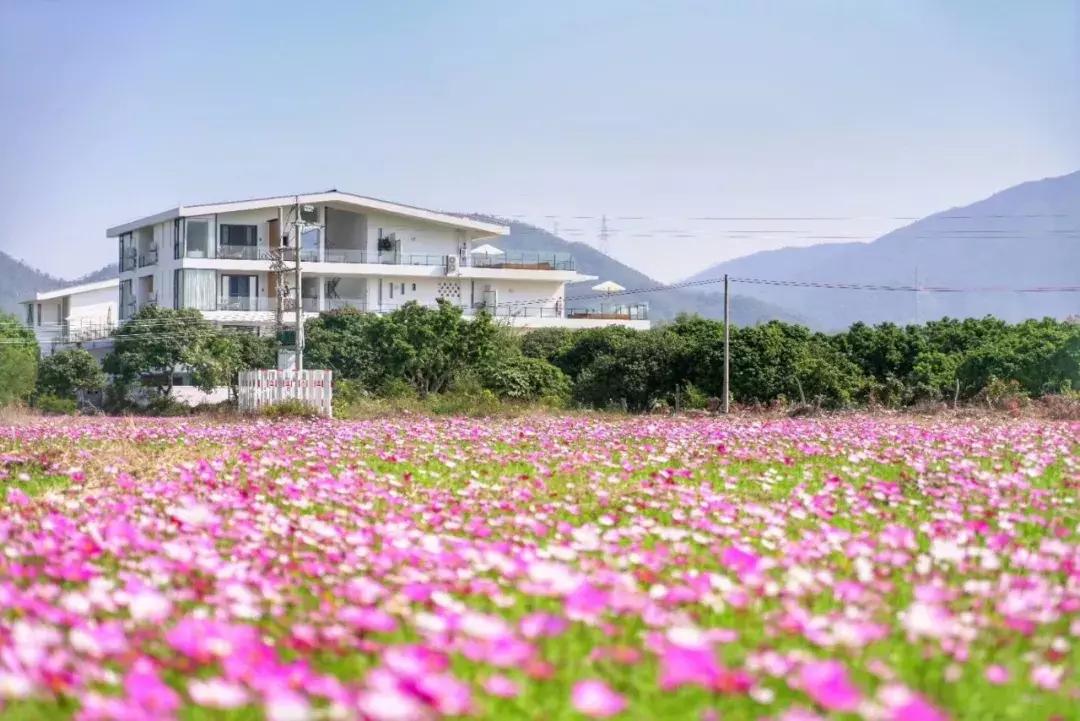 适合冬天旅游的亲子民宿,国内有山有水适合亲子的民宿推荐