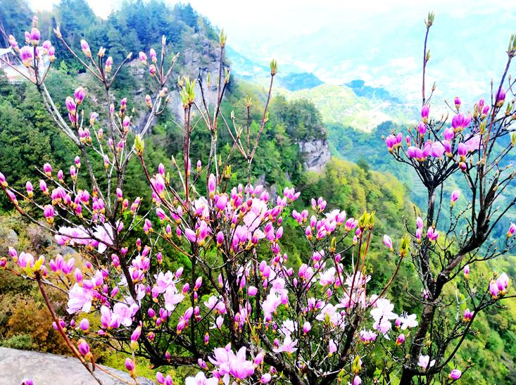 恩施文旅地产,探索湖北恩施